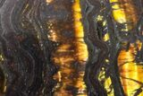 Tiger Iron Stromatolite Oval Cabochon #171317-1